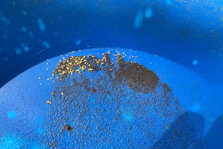 Gold Panning Activity at Mission Creek - Photo 1 of 8