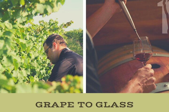 Grape to Glass Wine Experience - Photo 1 of 7