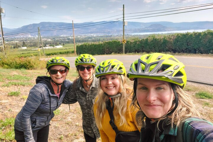 Guided E-Bike Wine Tour with Tastings and Lunch - Photo 1 of 12