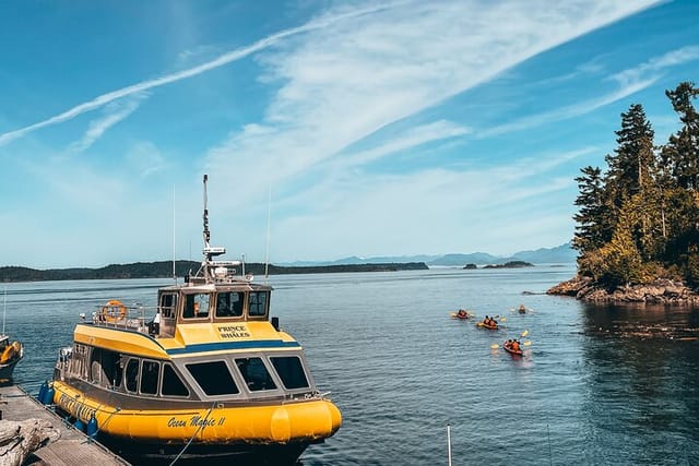 Half-Day Whale Watching Adventure from Telegraph Cove - Photo 1 of 17