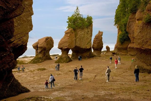 Hopewell Rocks Admission - Photo 1 of 6