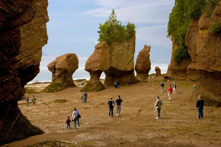 Walk on the ocean floor at low tide