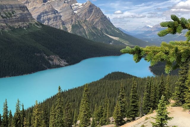 Icefields Pkwy: Lake Louise | Bow Lake | Peyto Lake | Glacier - PRIVATE DAY TOUR - Photo 1 of 10