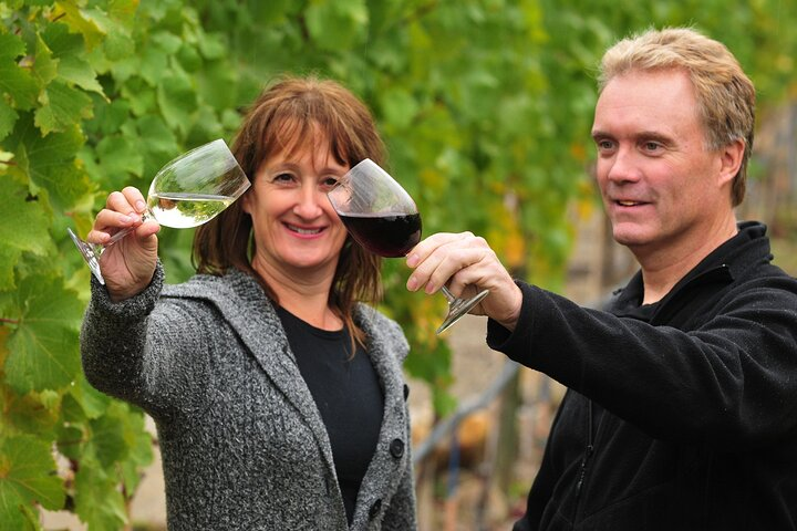 Taste the wines of the Okanagan