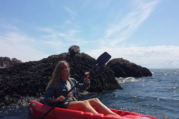 Morning Kayak & Seal Cruise - Photo 1 of 8