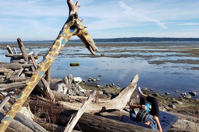 Mud Bay Park Bicycle Rental - Photo 1 of 6