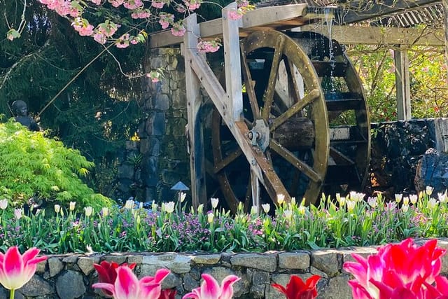 Private Beautiful Butchart Gardens & Victoria Highlights tour - Photo 1 of 6