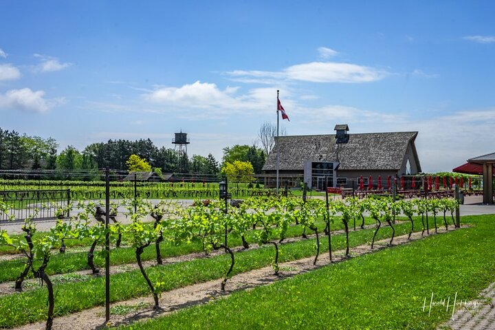 Private Half-Day Custom Wine Tasting Tour of Niagara-on-the-Lake - Photo 1 of 5