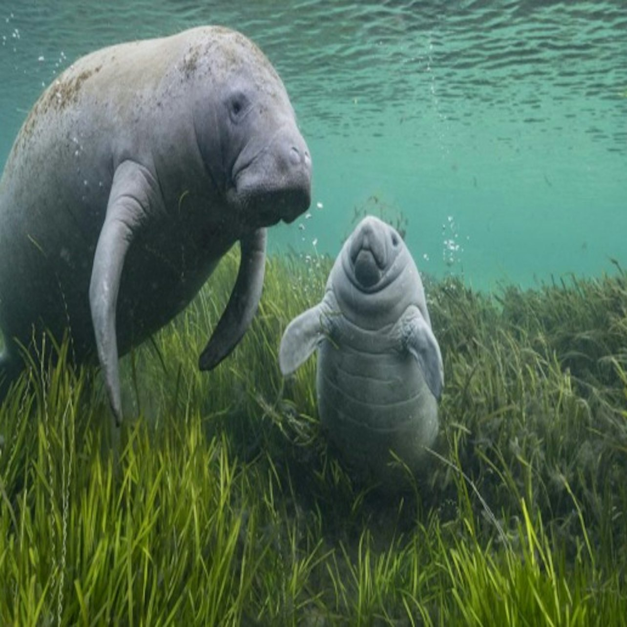 Royal Ontario Museum Feature Exhibit: Wildlife Photographer of the Year - Photo 1 of 3