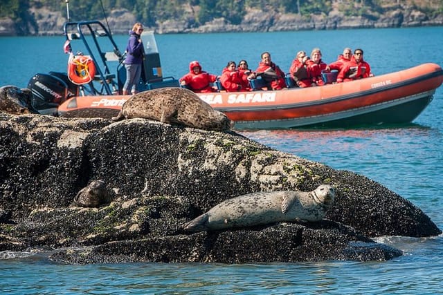 Sea Safari Tour from Vancouver - Photo 1 of 7