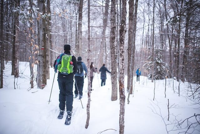 Skiing (Hok Ski) Excursion in Jacques-Cartier National Park - Photo 1 of 7