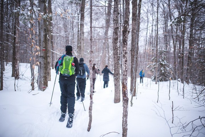 Ski-shoeing Excursion