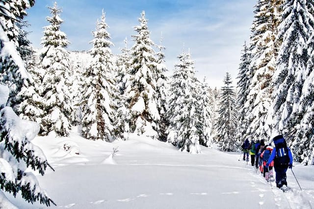 Snowshoe Through Vancouver's Winter Wonderland - Photo 1 of 2