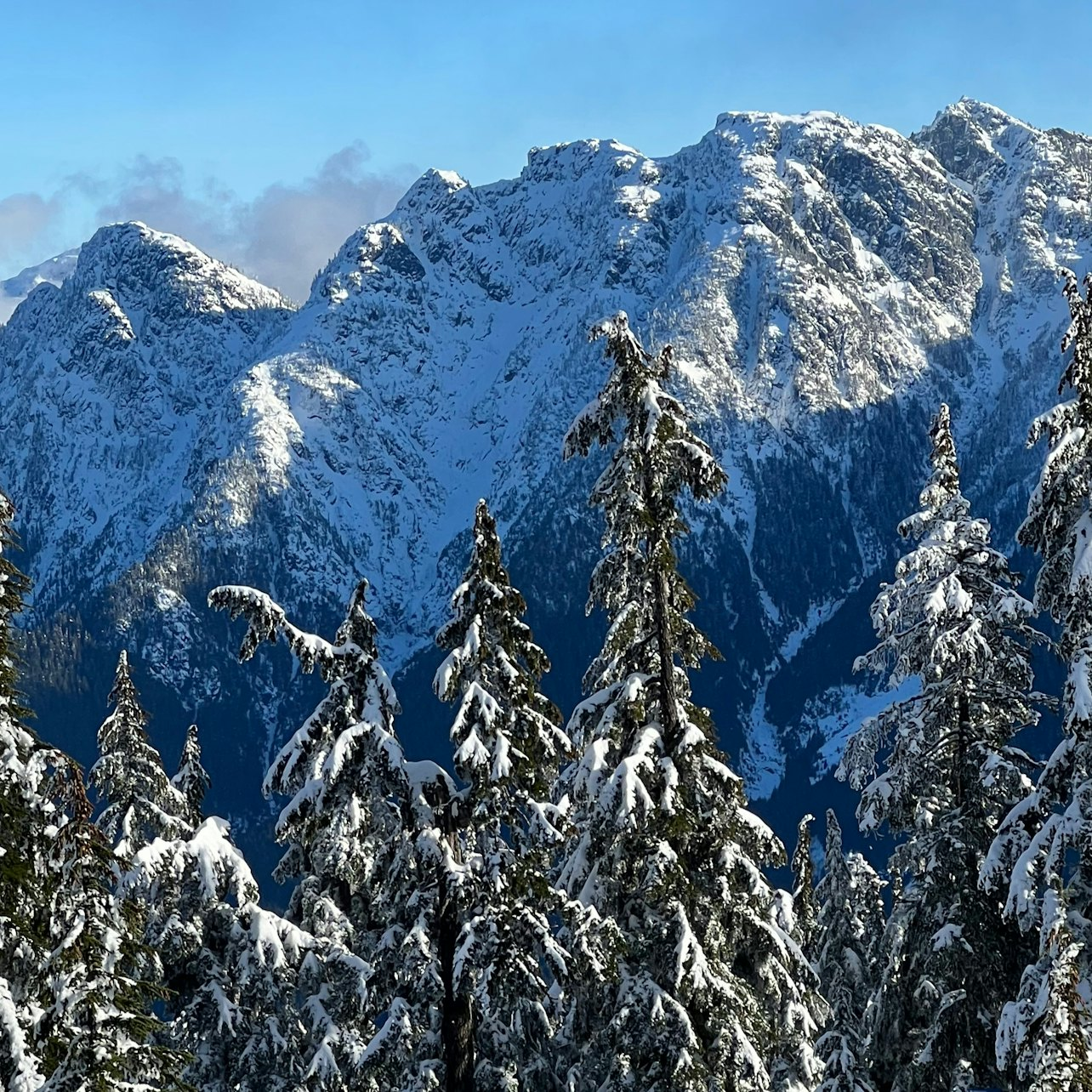 Snowshoeing in Vancouver's Winter Wonderland - Photo 1 of 11