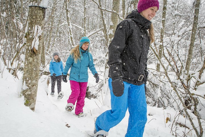 Quebec City Snowshoeing Tour