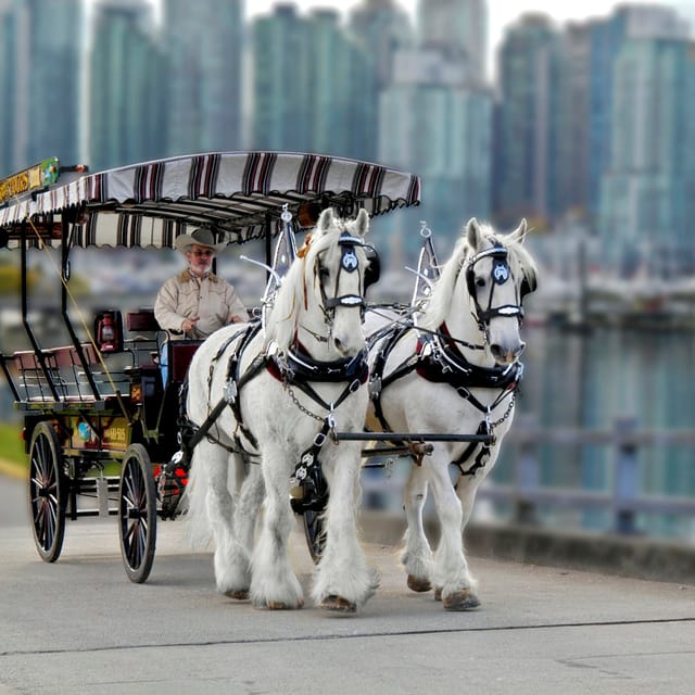 Stanley Park Horse-Drawn Guided Tour - Photo 1 of 5