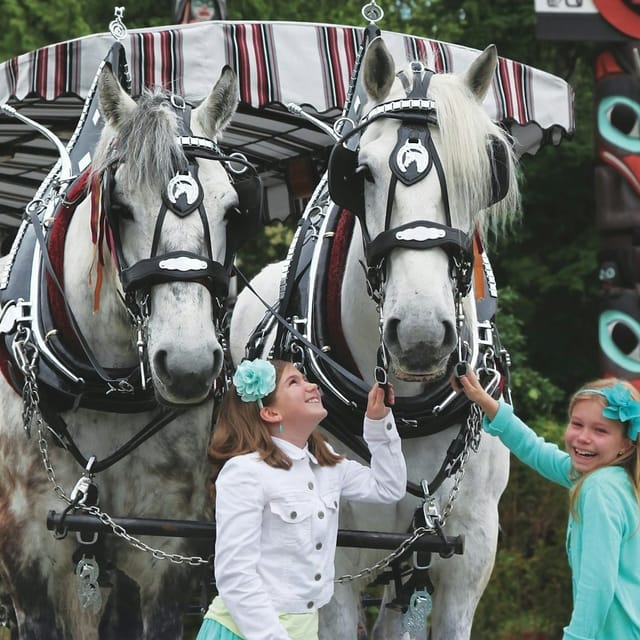 Shops horse drawn carriage stanley park