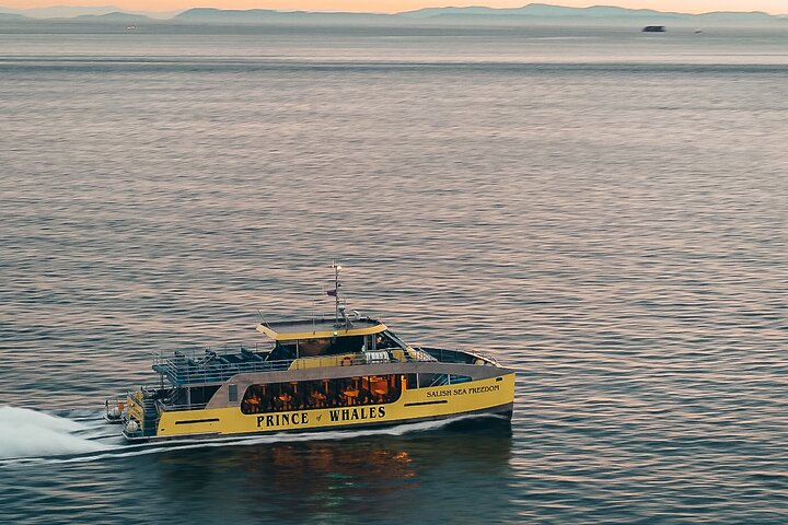 Catamaran at Sunset 