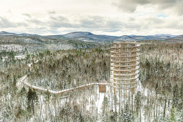 Ticket to Mont Tremblant Treetop Observatory and Walk - Photo 1 of 8