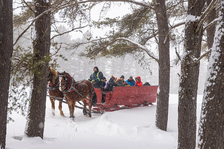 Tremblant Sleighride - Photo 1 of 7