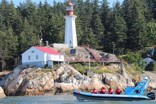 Vancouver City and Seals Scenic Boat Tour by Vancouver Water Adventures - Photo 1 of 9