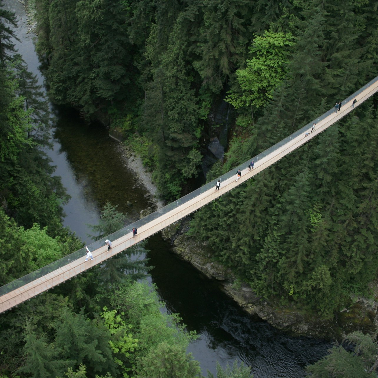 Vancouver City Tour & Capilano Suspension Bridge - Photo 1 of 17