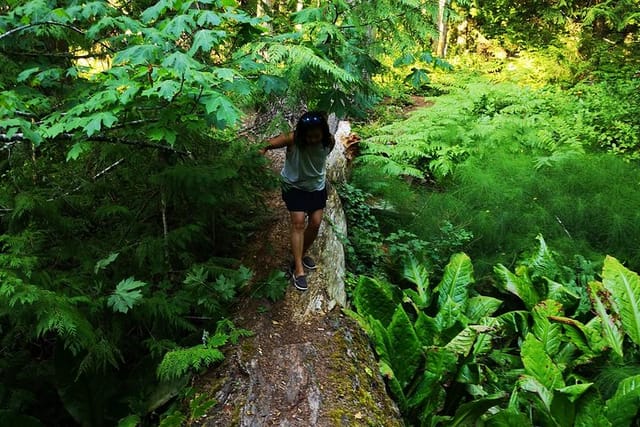 Vancouver Island Rainforest Guided Hike with Private Guide - Photo 1 of 11