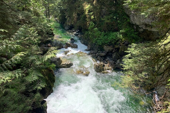 Vancouver Rainforest Hike with Waterfalls, Suspension Bridge, Old Growth Forest - Photo 1 of 14