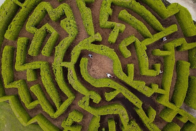 Explore the Hedge Maze! Kids will also love exploring the nearby veggie garden and climbing on the vintage tractor.