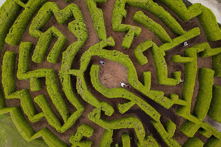 Explore the Hedge Maze! Kids will also love exploring the nearby veggie garden and climbing on the vintage tractor.