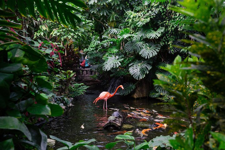 Victoria Butterfly Gardens