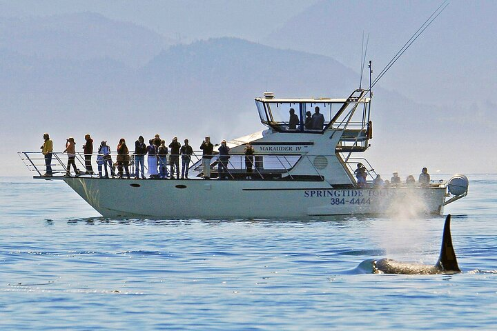 Your excursion boat has lots of outside room to move around during your tour. All decks have comfortable seating!