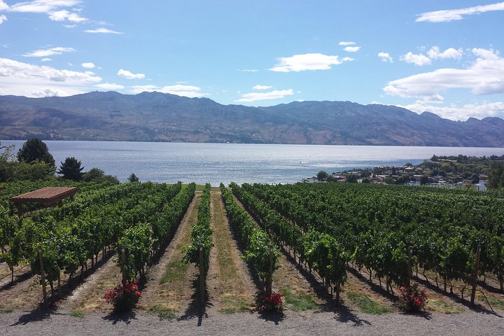 West Kelowna Gallery Of Grapes Wine Tour - Photo 1 of 18