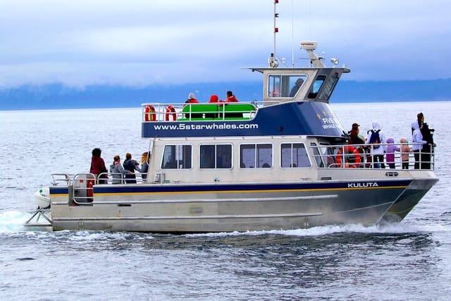 Whale-Watching Cruise with Expert Naturalists - Photo 1 of 25