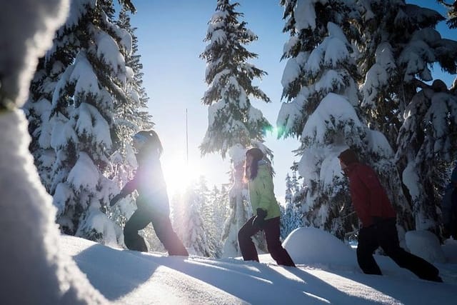 Whistler Snowshoeing Adventure  - Photo 1 of 6