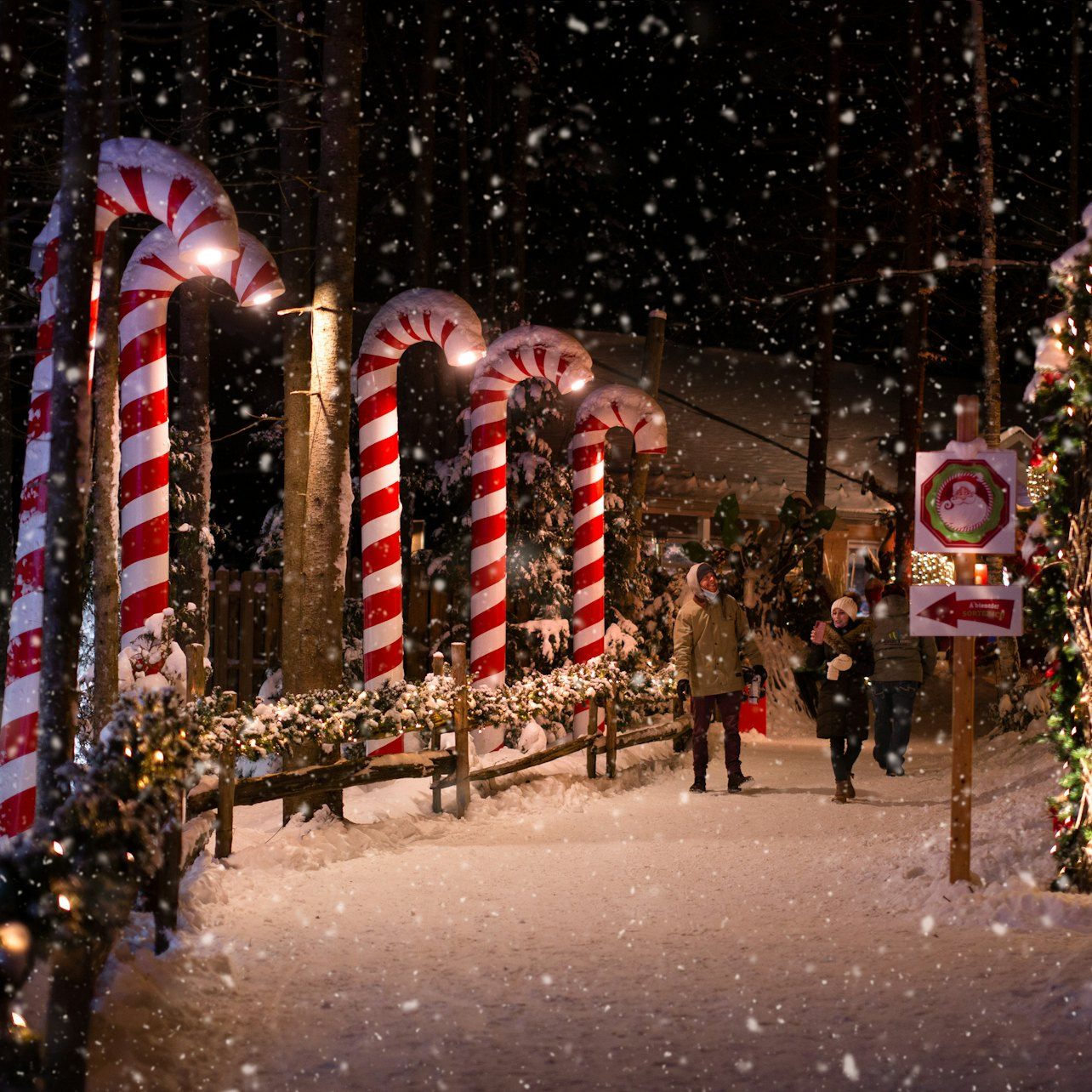 Woodooliparc: Frima Theme Park - The Magic of Christmas - Photo 1 of 9