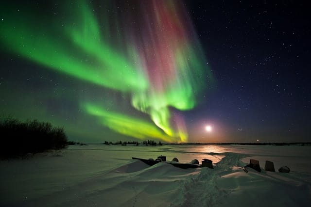 Yellowknife Tours - Aurora by bus - Photo 1 of 11