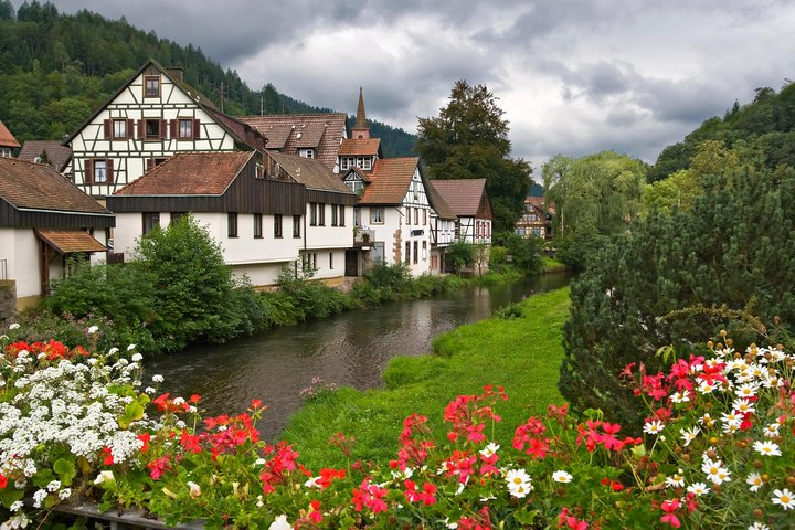 Black Forest and Rhine Falls Day Trip from Zurich 