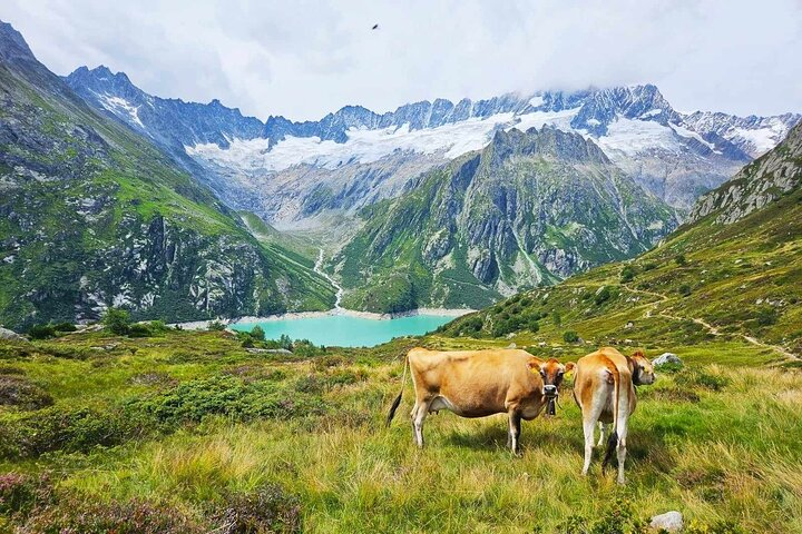 Göscheneralpsee Tour