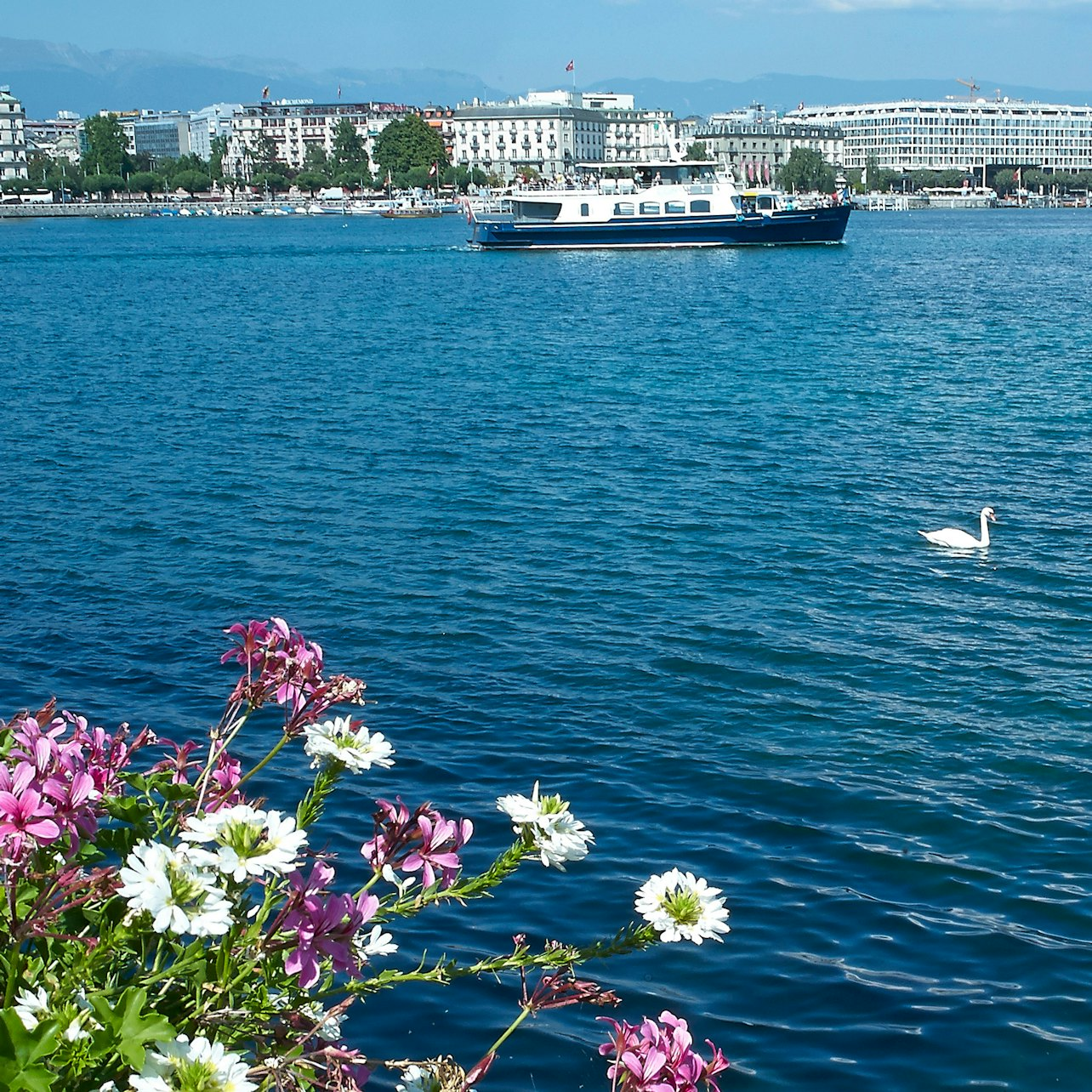 Geneva Boat Tour - Photo 1 of 5