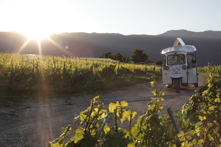 Geneva Panoramic and Tasting Vineyards Tour in a TukTuk (electric) - Photo 1 of 12