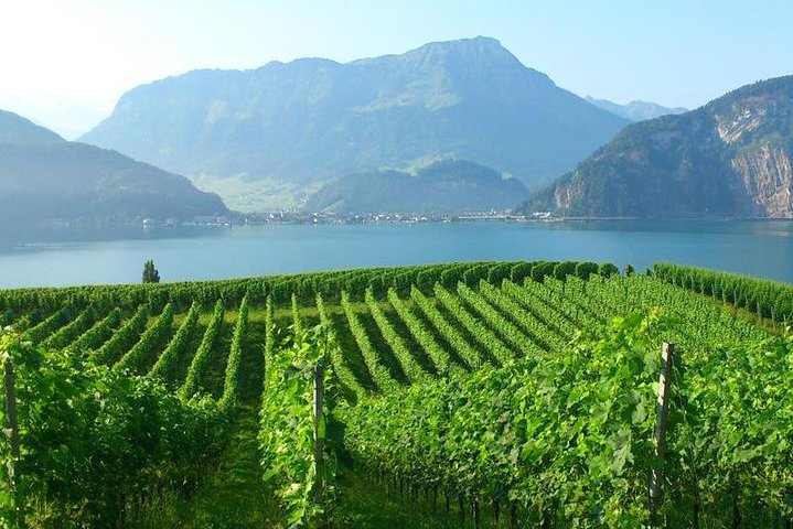 Lake Lucerne Countryside Walk