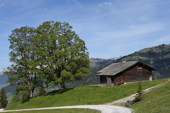 Private Transfer From Zurich to Gstaad With Stops - Photo 1 of 6