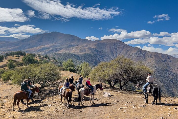 Great views to the mountains and the native forest of central Chile.