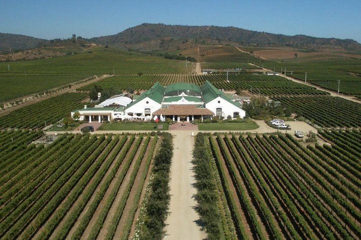 Casas del Bosque vineyard tour - Photo 1 of 4