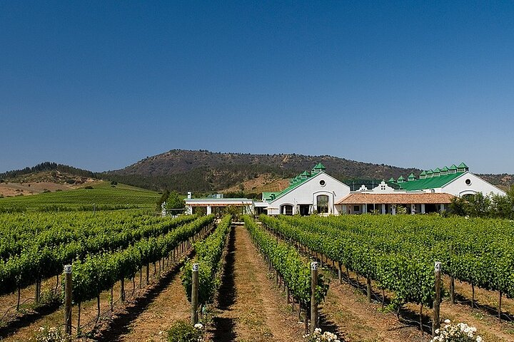 Casas del Bosque Vineyard with Lunch Menu included from Santiago - Photo 1 of 3