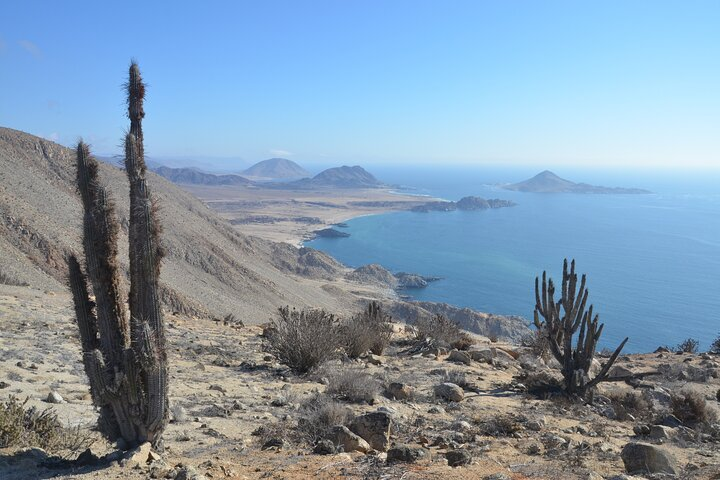 Pan de Azúcar Island from Cordillera de la Costa