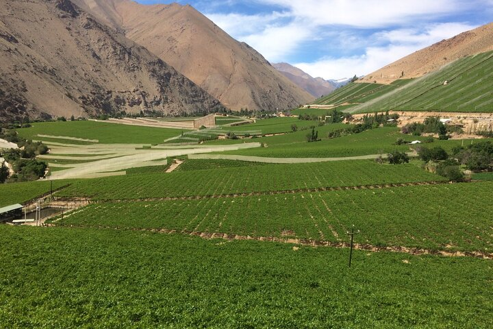 Pisco Elqui, cradle of Chilean pisco