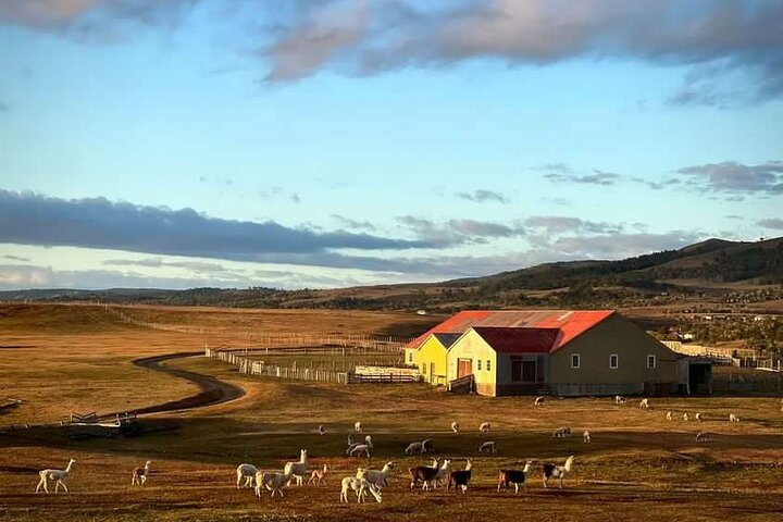 Estancia ,de la comuna de Laguna Blanca  - Photo 1 of 11