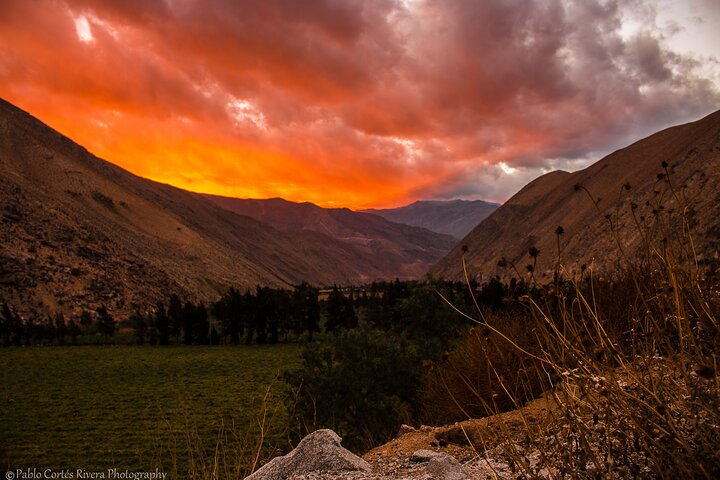 Full Day History and Flavors Tour in the Elqui Valley - Photo 1 of 25